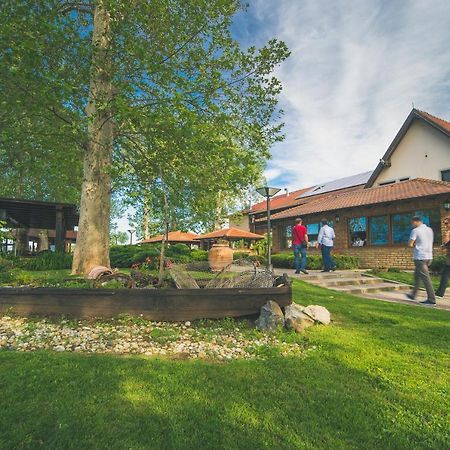 Hotel Dunav Илок Экстерьер фото