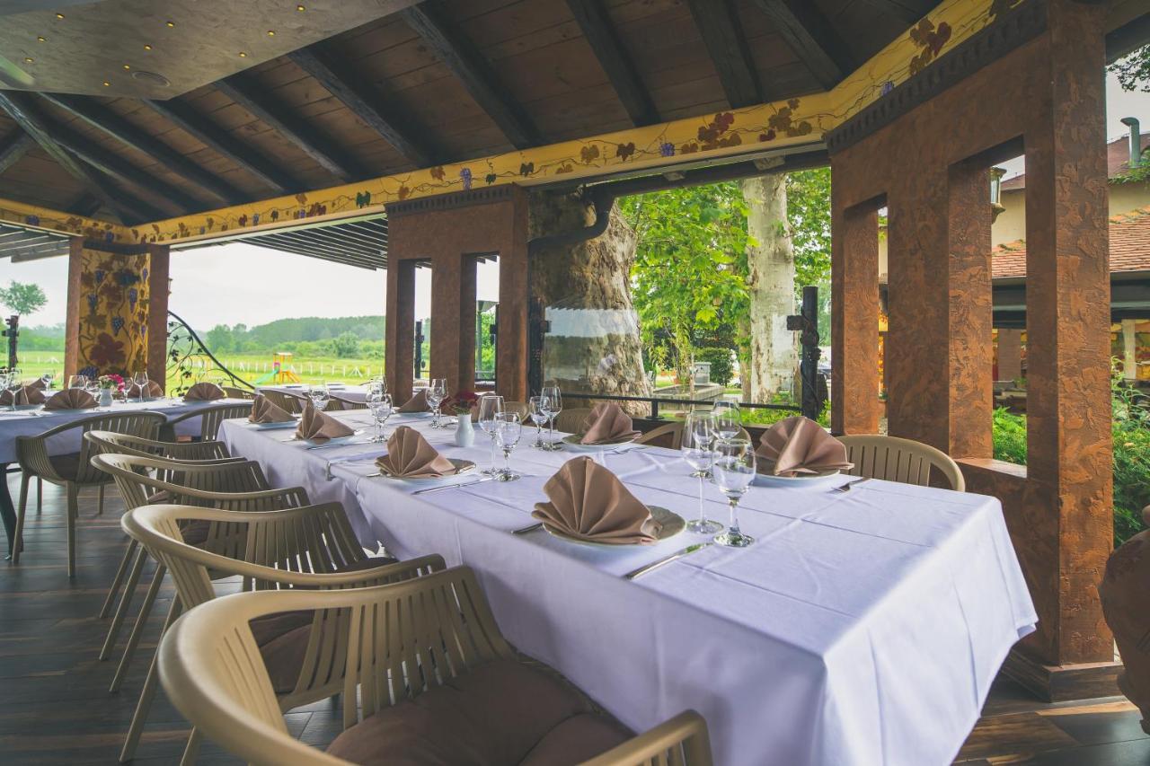 Hotel Dunav Илок Экстерьер фото